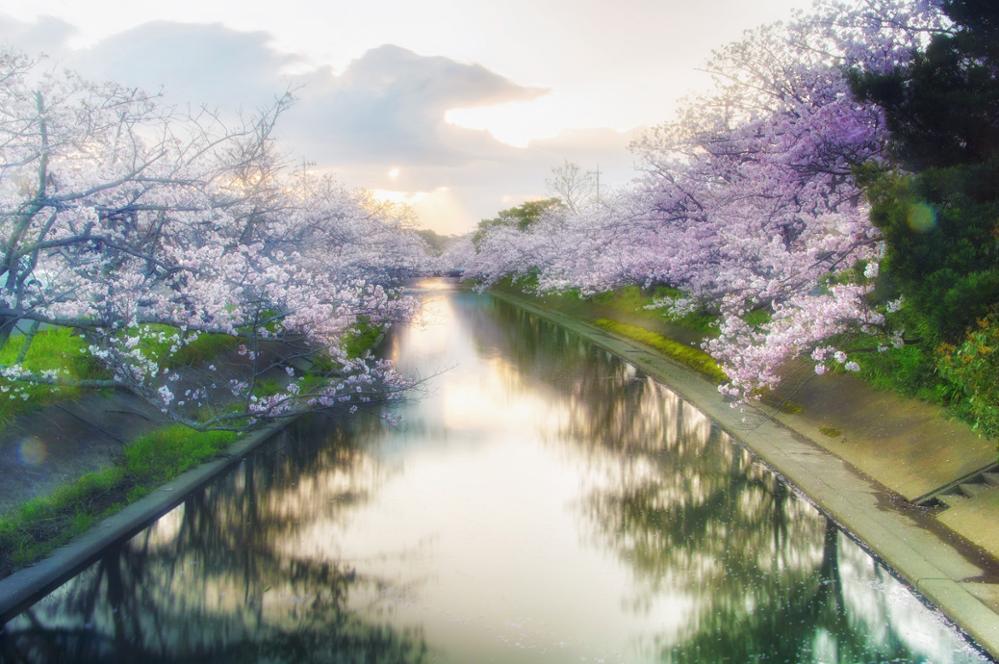 30 images pour se souvenir du Japon...