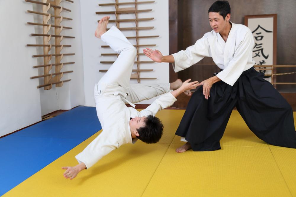 Quels sont les différents arts martiaux japonais ?