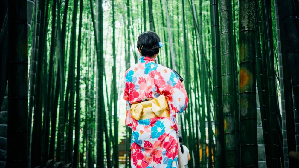 L'art du Kimono au Japon
