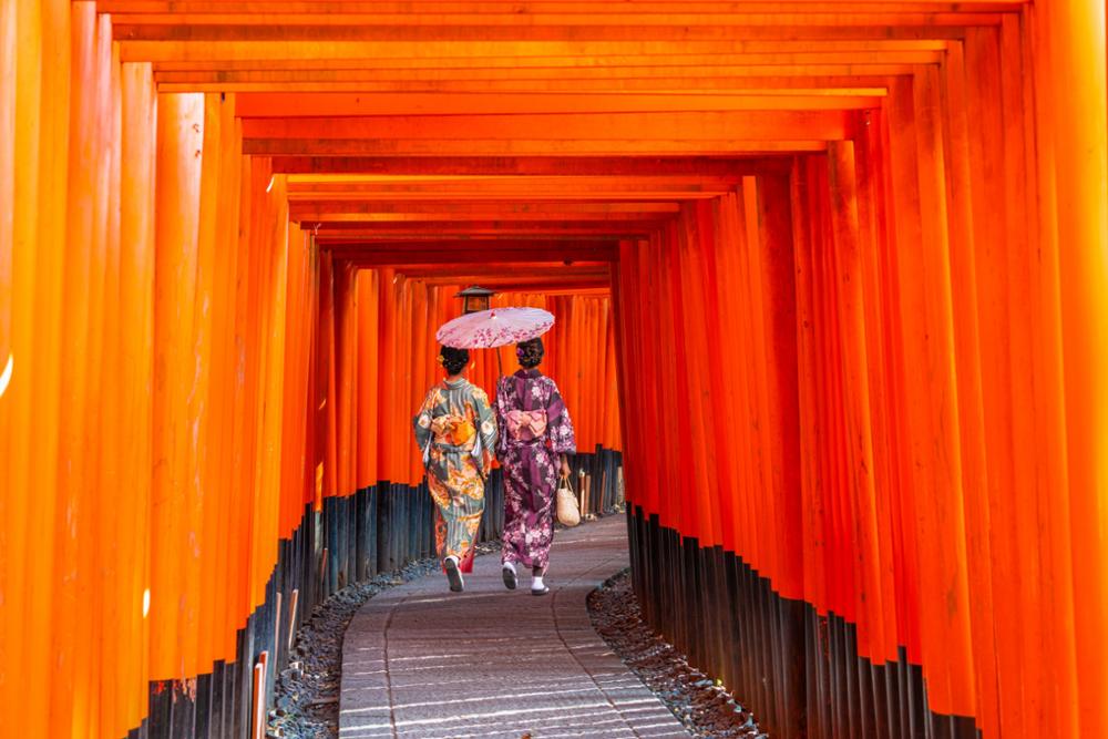 Que voir et faire autour de Kyoto ? 