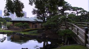 Visite du Parc Ama Rykiu à Tokyo